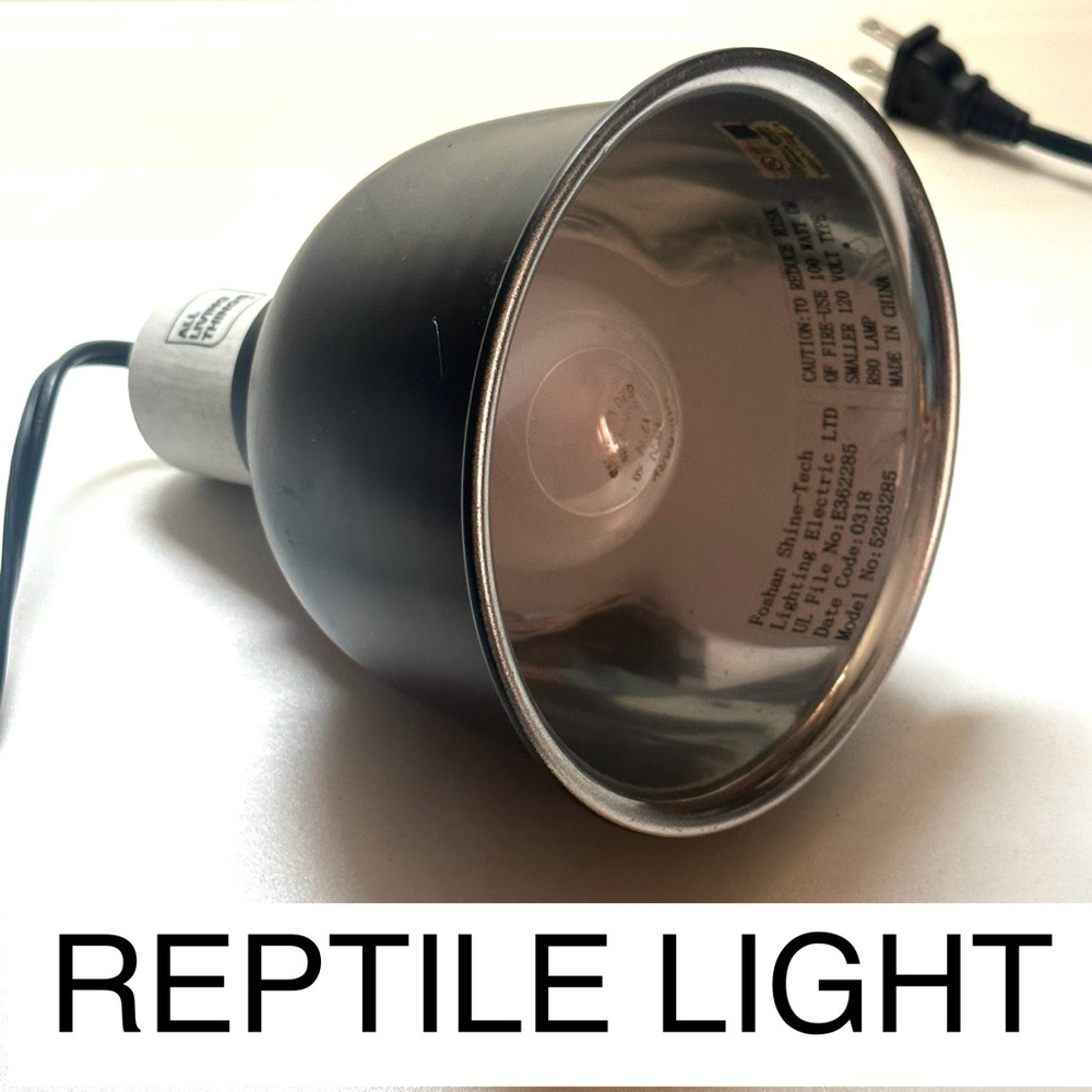 Reptile Light Living Things Aquarium Garden Flowers Plants 🦎